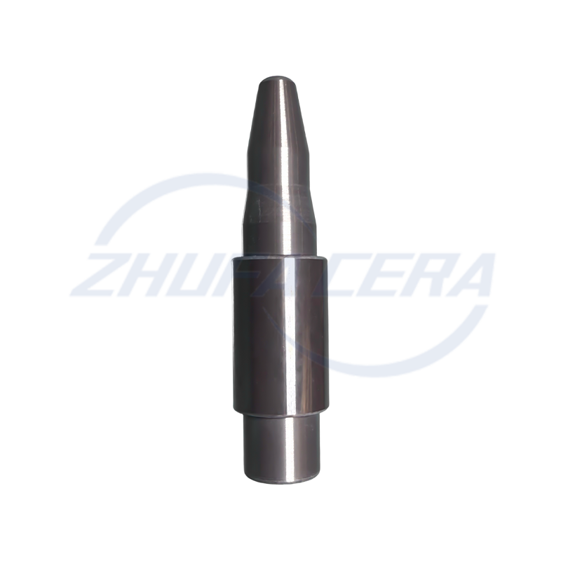 Siliciumcarbide keramische positioneringspin 2