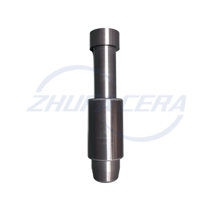 Siliciumcarbide keramische positioneringspen 1