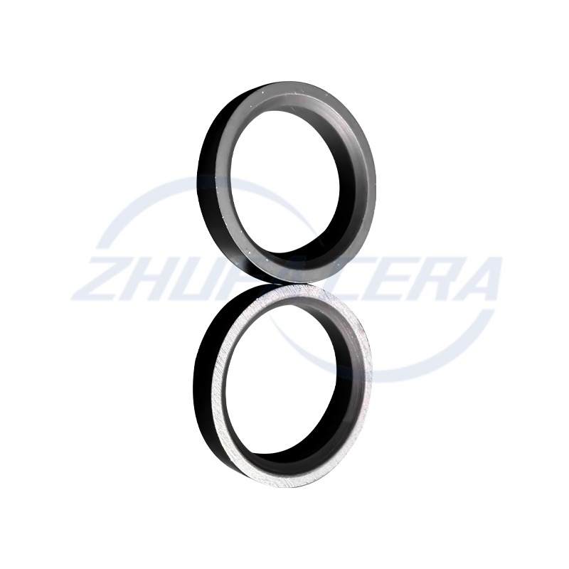 Slijtvaste ring van siliciumcarbide